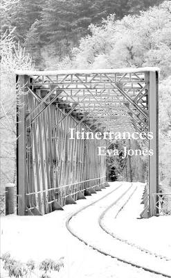 Book cover for Itinerrances