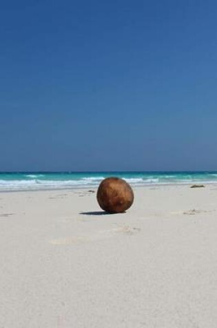 Cover of A Lone Coconut on a White Sand Beach