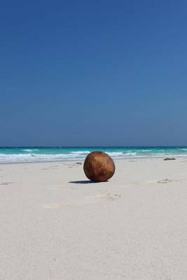 Book cover for A Lone Coconut on a White Sand Beach