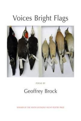 Book cover for Voices Bright Flags