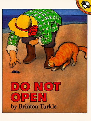 Book cover for Turkle Brinton : Do Not Open