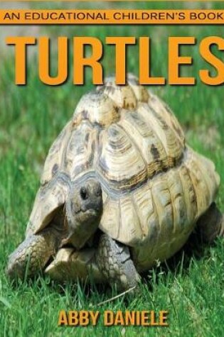 Cover of Turtles! An Educational Children's Book about Turtles with Fun Facts & Photos