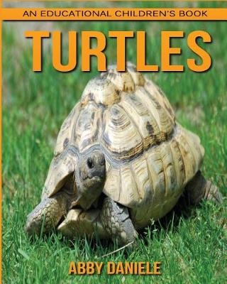 Book cover for Turtles! An Educational Children's Book about Turtles with Fun Facts & Photos