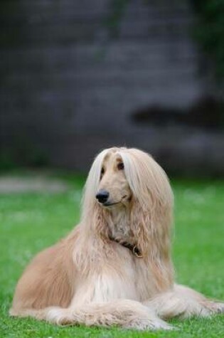 Cover of Afghan Hound Dog Portrait Journal