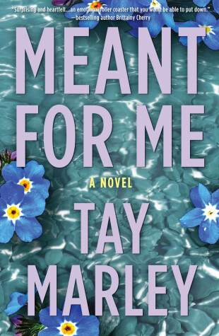 Book cover for Meant for Me