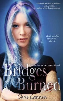 Cover of Bridges Burned