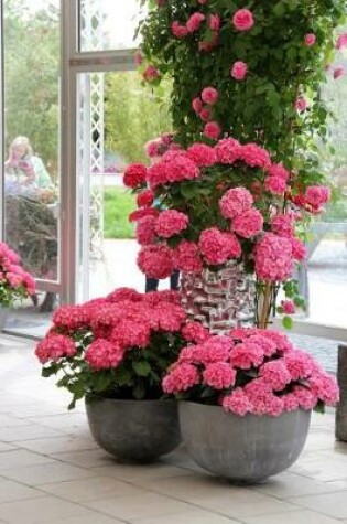 Cover of Stunning Potted Pink Hydrangea Flowers Journal