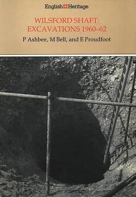 Cover of Wilsford Shaft