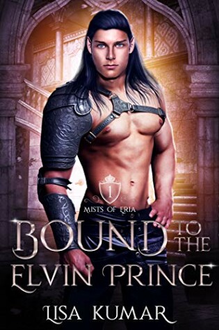 Cover of Bound to the Elvin Prince