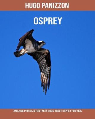 Book cover for Osprey