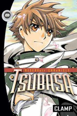 Tsubasa, Volume 28