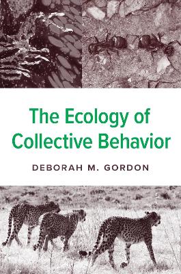 Book cover for The Ecology of Collective Behavior