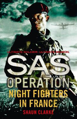 Cover of Night Fighters in France