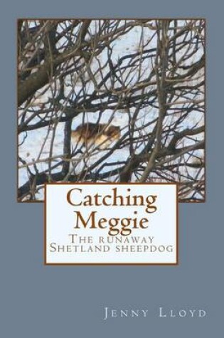 Cover of Catching Meggie the Runaway Shetland Sheepdog