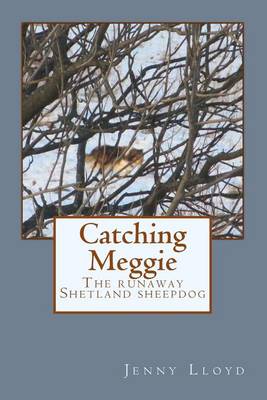 Book cover for Catching Meggie the Runaway Shetland Sheepdog