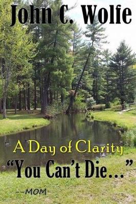 Book cover for You Can't Die