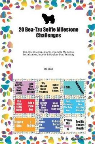 Cover of 20 Bea-Tzu Selfie Milestone Challenges