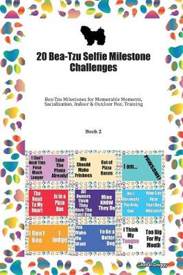 Book cover for 20 Bea-Tzu Selfie Milestone Challenges