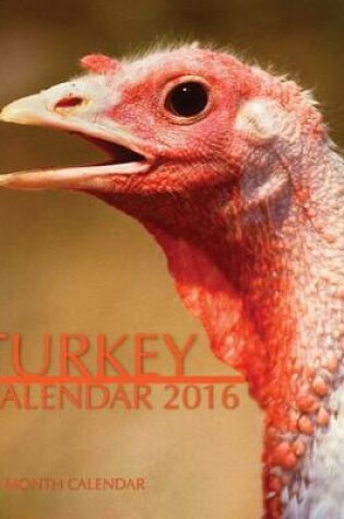 Cover of Turkey Calendar 2016