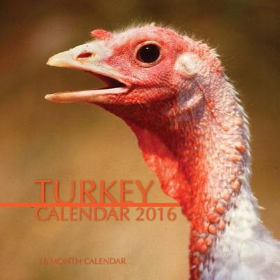 Book cover for Turkey Calendar 2016