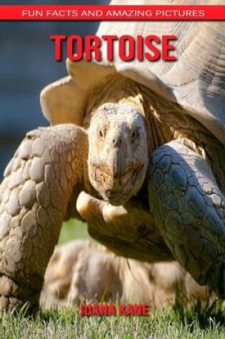 Cover of Tortoise