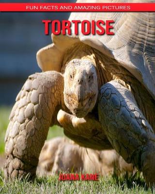 Book cover for Tortoise