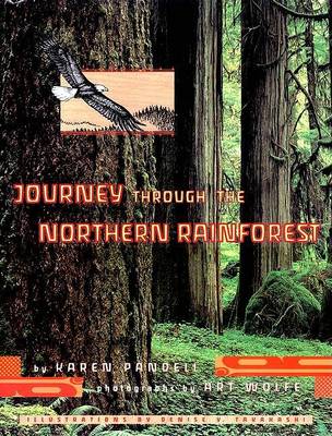 Book cover for Journey through the Northern Rainforest