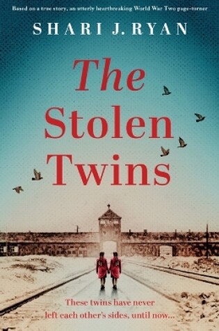 Cover of The Stolen Twins