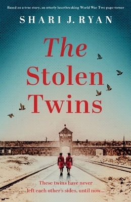 Book cover for The Stolen Twins