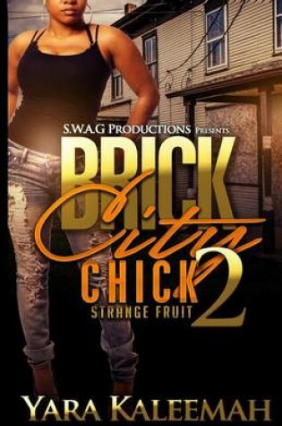 Cover of Brick City Chick 2