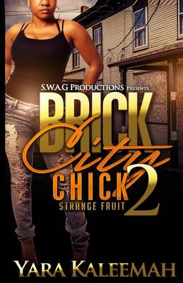 Book cover for Brick City Chick 2