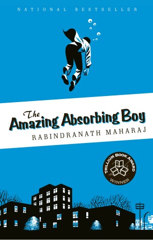 Book cover for The Amazing Absorbing Boy
