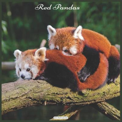 Book cover for Red Pandas 2021 Wall Calendar