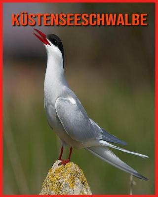 Book cover for Küstenseeschwalbe