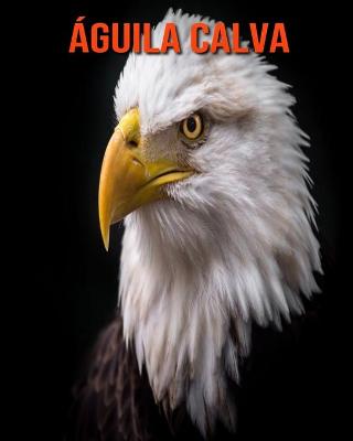 Book cover for Águila calva
