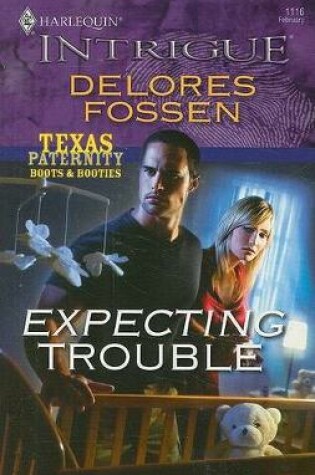 Cover of Expecting Trouble