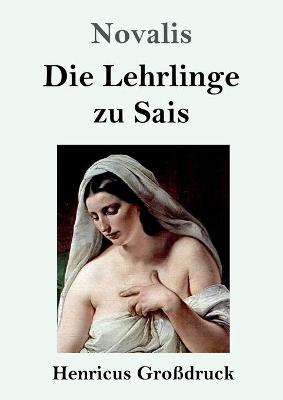 Book cover for Die Lehrlinge zu Sais (Großdruck)