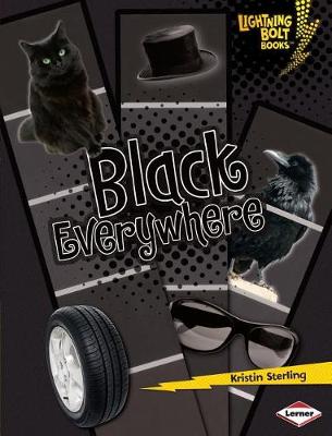 Book cover for Black Everywhere