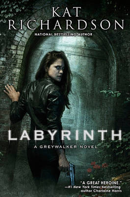 Book cover for Labyrinth