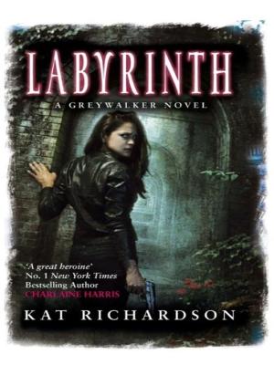 Book cover for Labyrinth