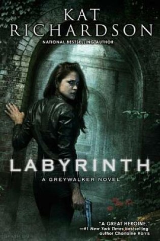 Cover of Labyrinth