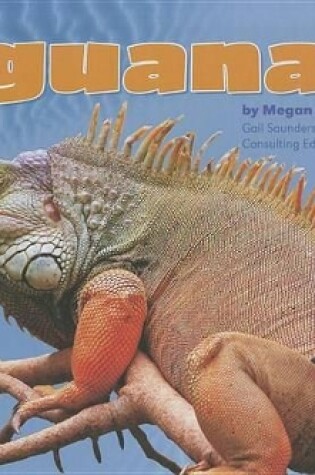 Cover of Iguanas