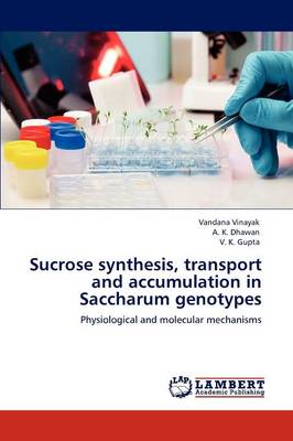 Book cover for Sucrose synthesis, transport and accumulation in Saccharum genotypes