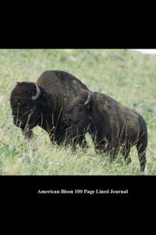 Cover of American Bison 100 Page Lined Journal