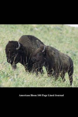 Book cover for American Bison 100 Page Lined Journal