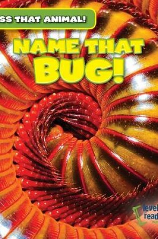 Cover of Name That Bug!