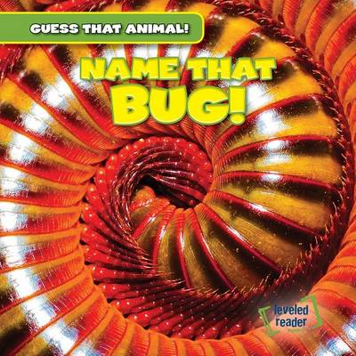 Book cover for Name That Bug!