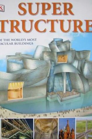 Cover of Super Structures