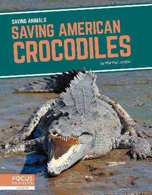 Book cover for Saving Animals: Saving American Crocodiles