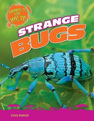 Book cover for Strange Bugs